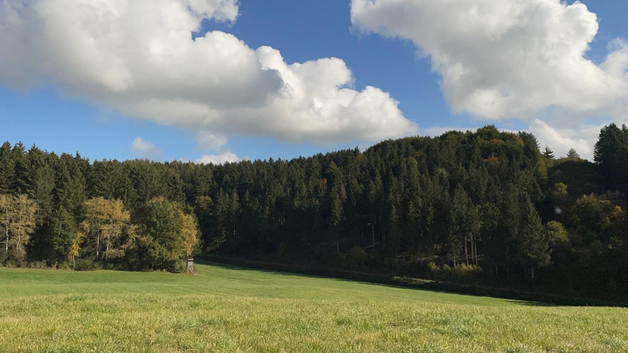 Deine-Eifel-Ferienwohnung Feusdorf المظهر الخارجي الصورة