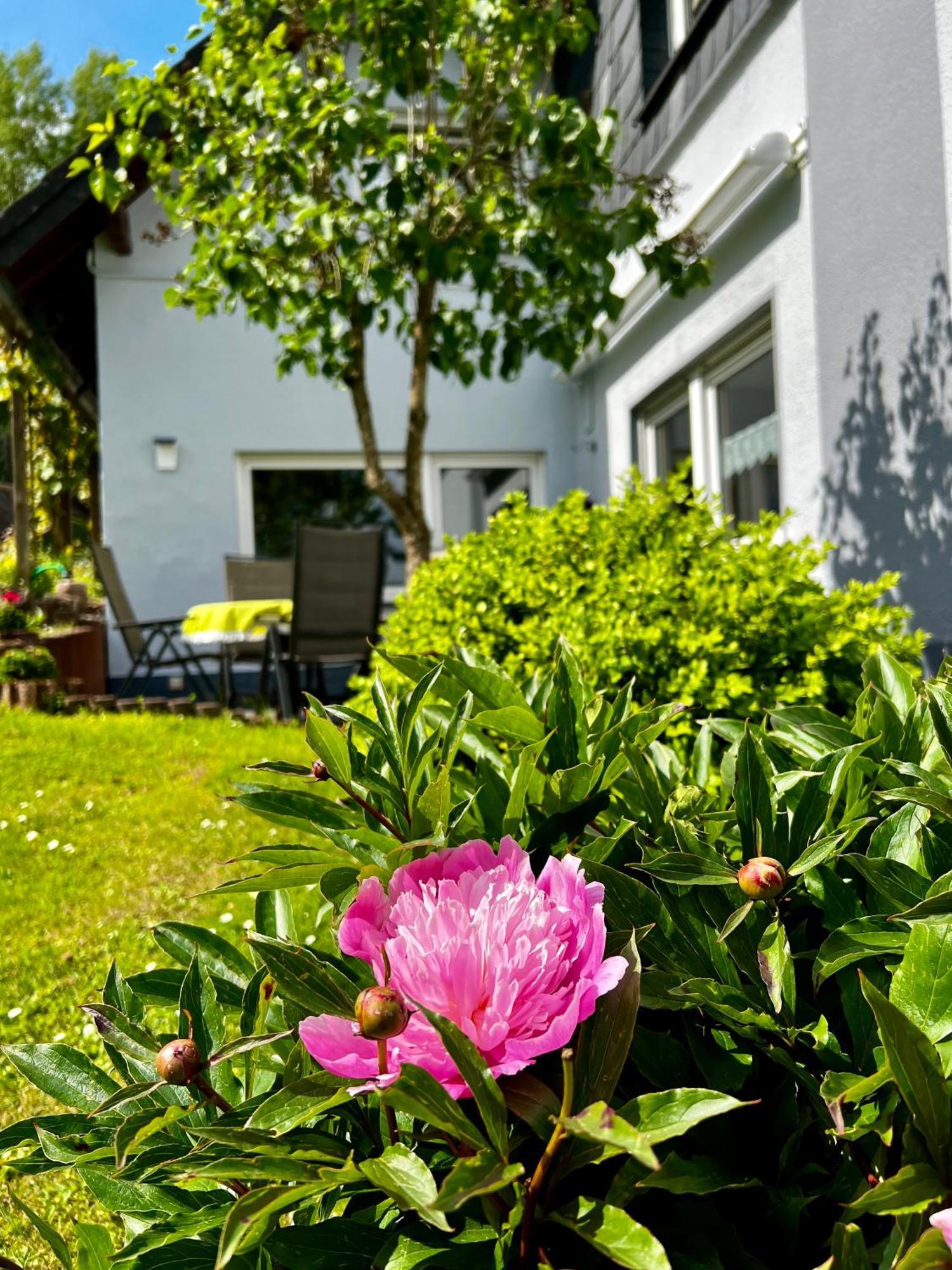 Deine-Eifel-Ferienwohnung Feusdorf المظهر الخارجي الصورة