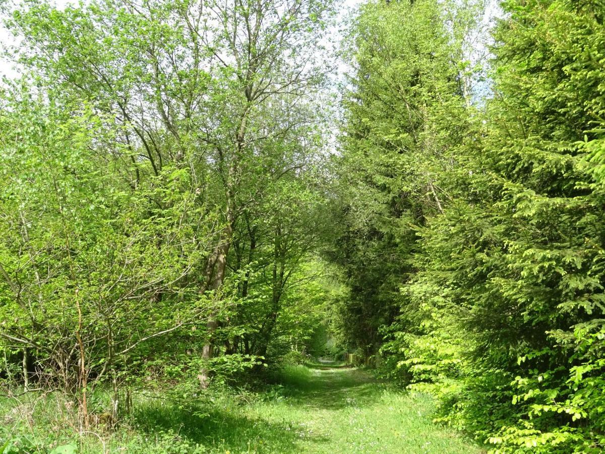 Deine-Eifel-Ferienwohnung Feusdorf المظهر الخارجي الصورة